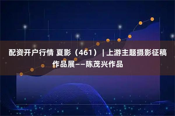 配资开户行情 夏影（461） | 上游主题摄影征稿作品展——陈茂兴作品