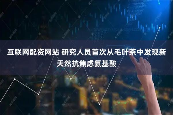 互联网配资网站 研究人员首次从毛叶茶中发现新天然抗焦虑氨基酸