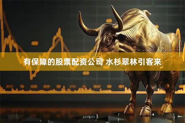 有保障的股票配资公司 水杉翠林引客来