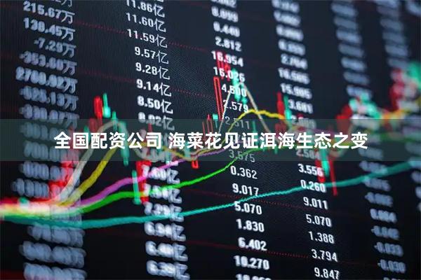 全国配资公司 海菜花见证洱海生态之变