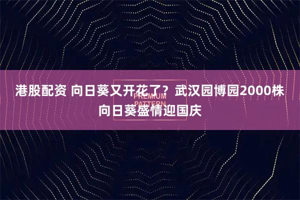 港股配资 向日葵又开花了？武汉园博园2000株向日葵盛情迎国庆